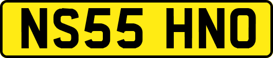 NS55HNO