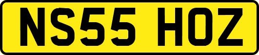 NS55HOZ