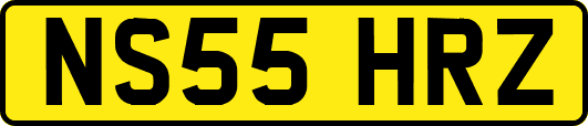 NS55HRZ