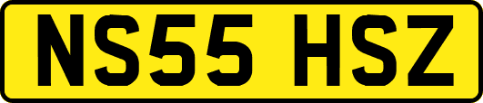NS55HSZ
