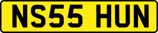 NS55HUN