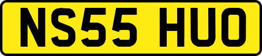 NS55HUO