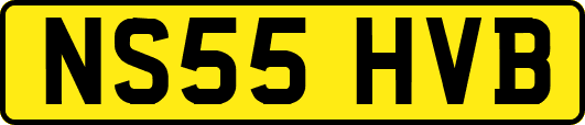 NS55HVB