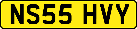 NS55HVY