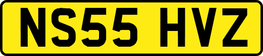NS55HVZ