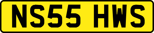 NS55HWS