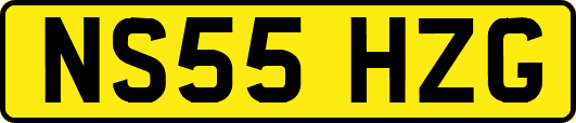 NS55HZG