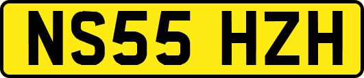 NS55HZH