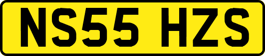 NS55HZS