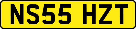 NS55HZT