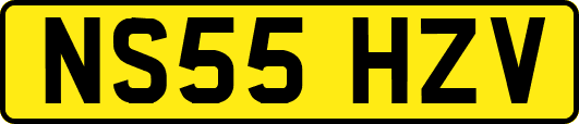 NS55HZV