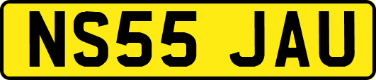 NS55JAU