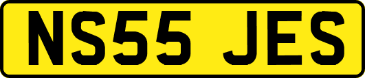 NS55JES