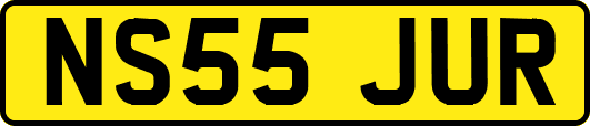 NS55JUR