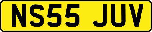 NS55JUV