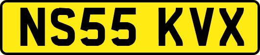NS55KVX