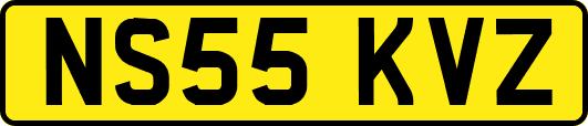 NS55KVZ