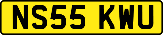 NS55KWU
