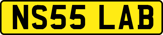 NS55LAB