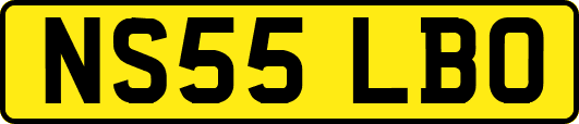 NS55LBO