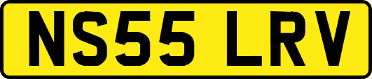 NS55LRV