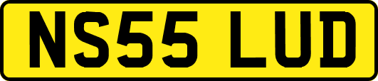 NS55LUD