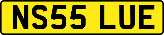 NS55LUE