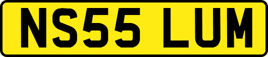NS55LUM