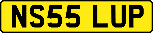 NS55LUP