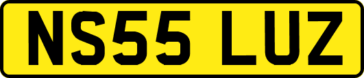 NS55LUZ