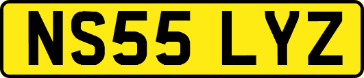 NS55LYZ
