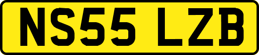 NS55LZB