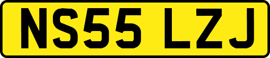 NS55LZJ