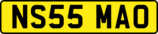 NS55MAO