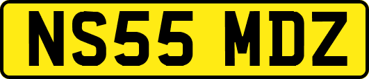 NS55MDZ
