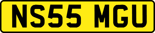 NS55MGU