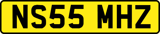 NS55MHZ