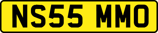 NS55MMO