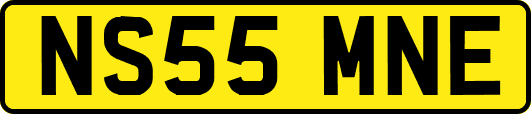NS55MNE