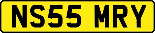 NS55MRY