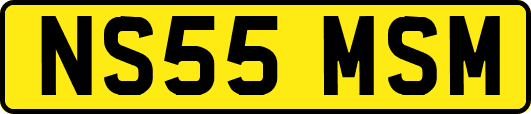 NS55MSM