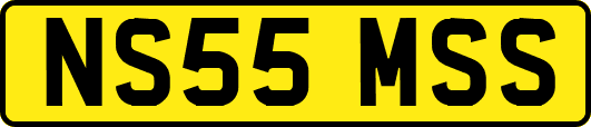 NS55MSS