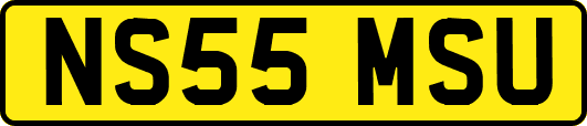 NS55MSU