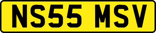 NS55MSV