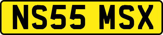 NS55MSX