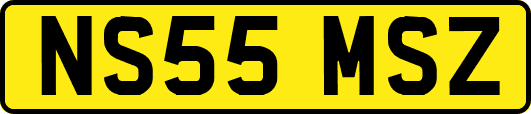 NS55MSZ
