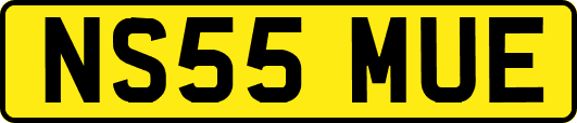 NS55MUE