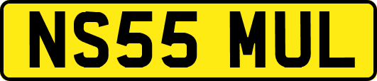 NS55MUL