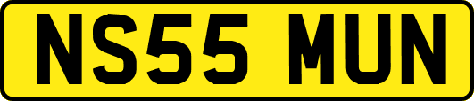 NS55MUN