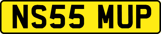 NS55MUP